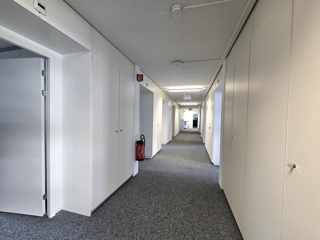 356m² office