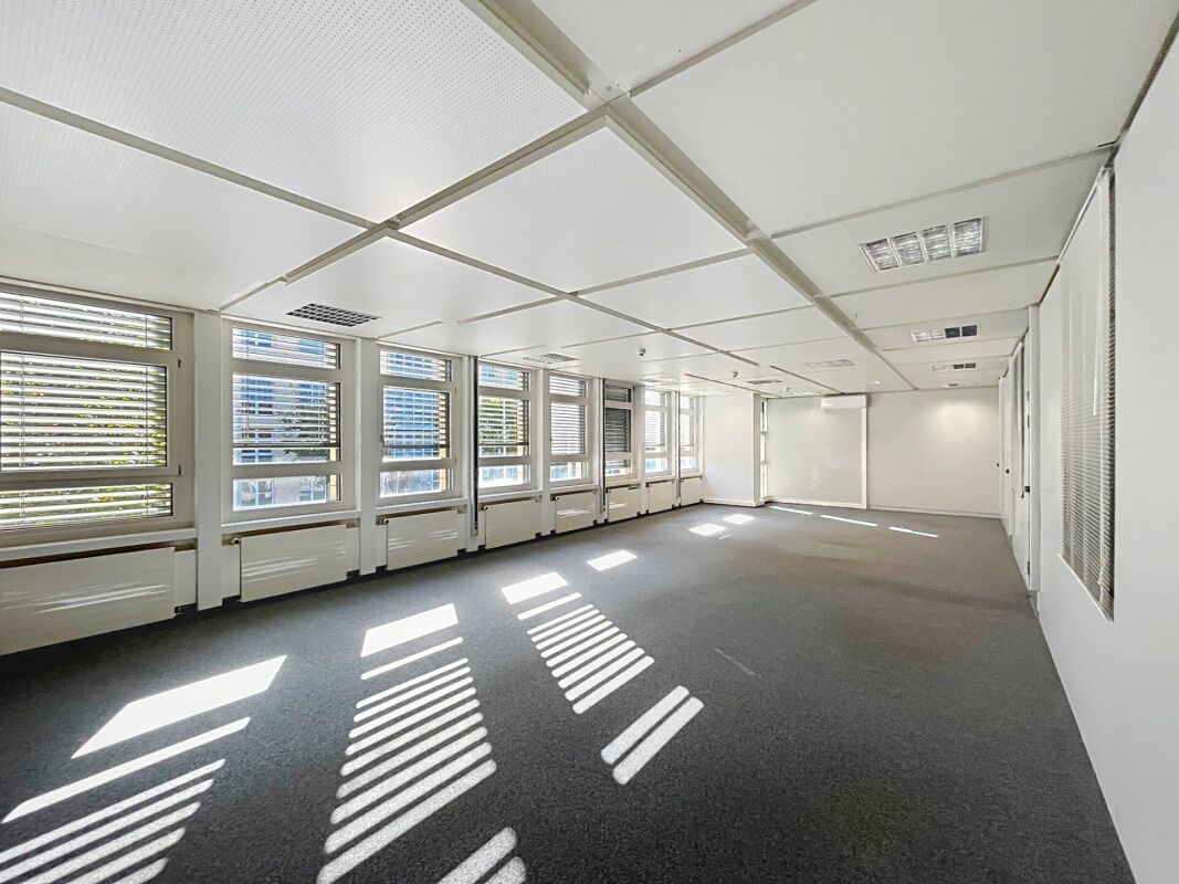 1238m² commerciale