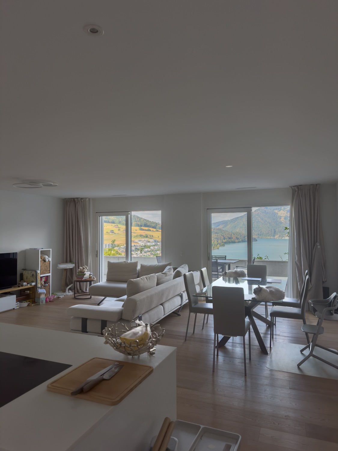 Appartement de 3 ½ pièces