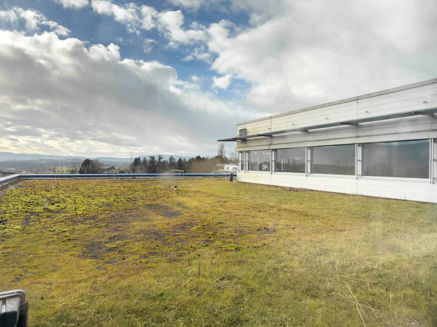 ufficio di 1393m²