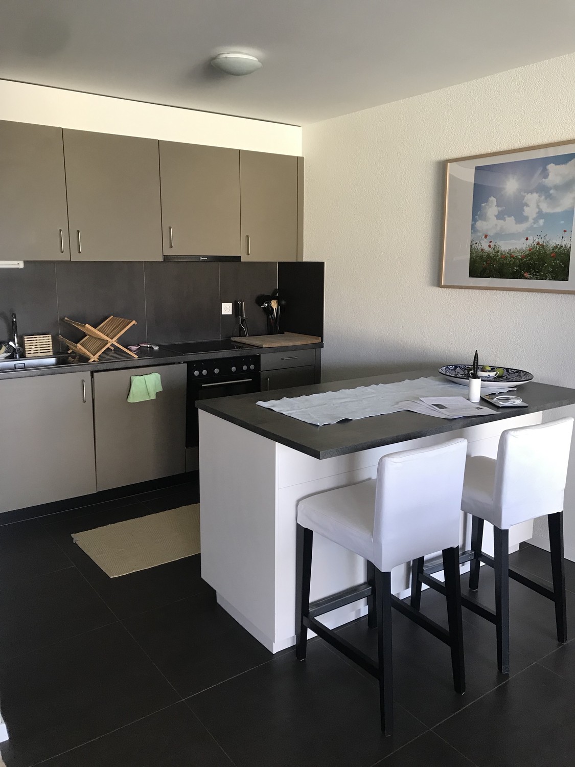 3 ½ Zimmer Wohnung