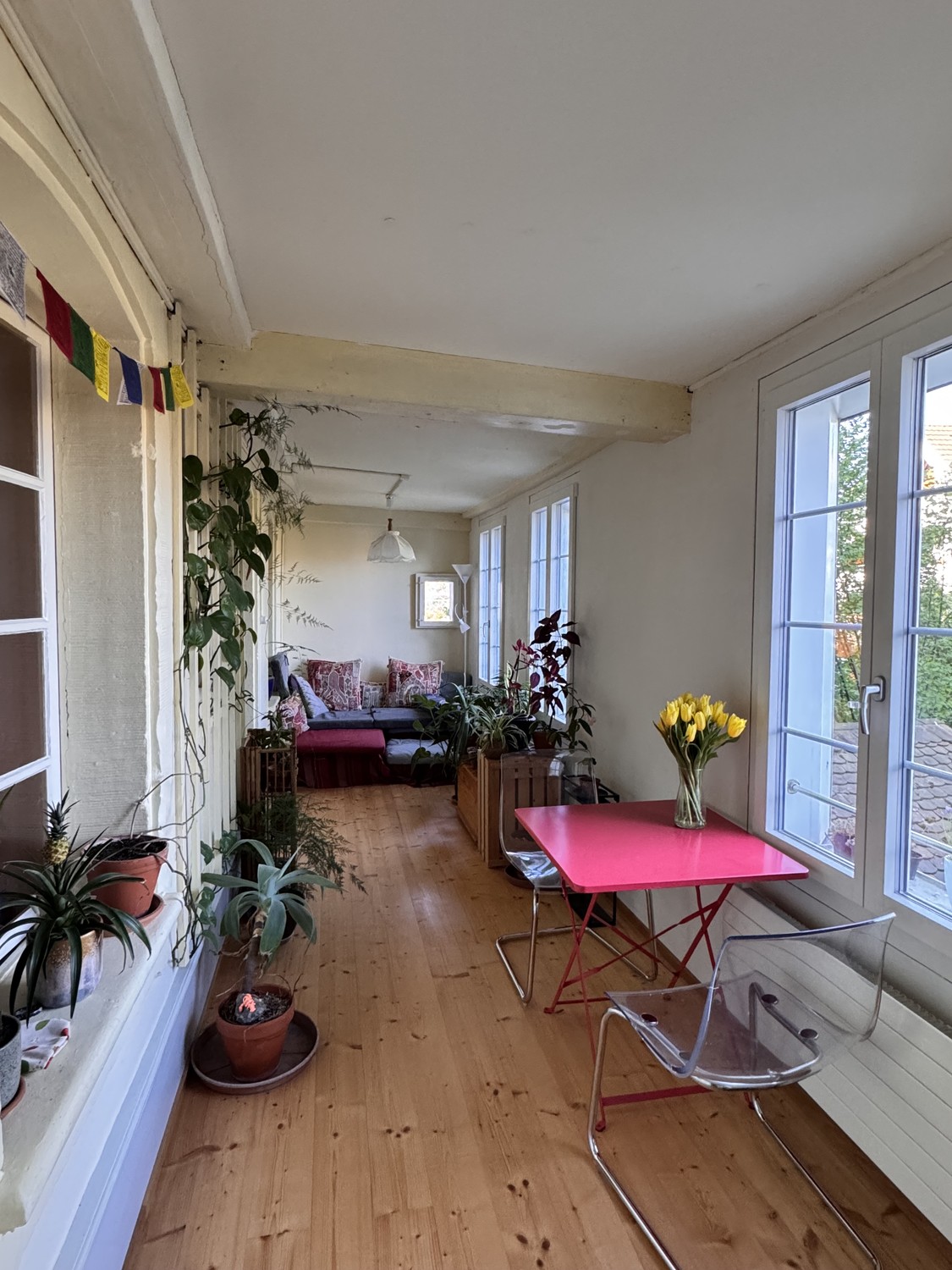 Room in a shared flat