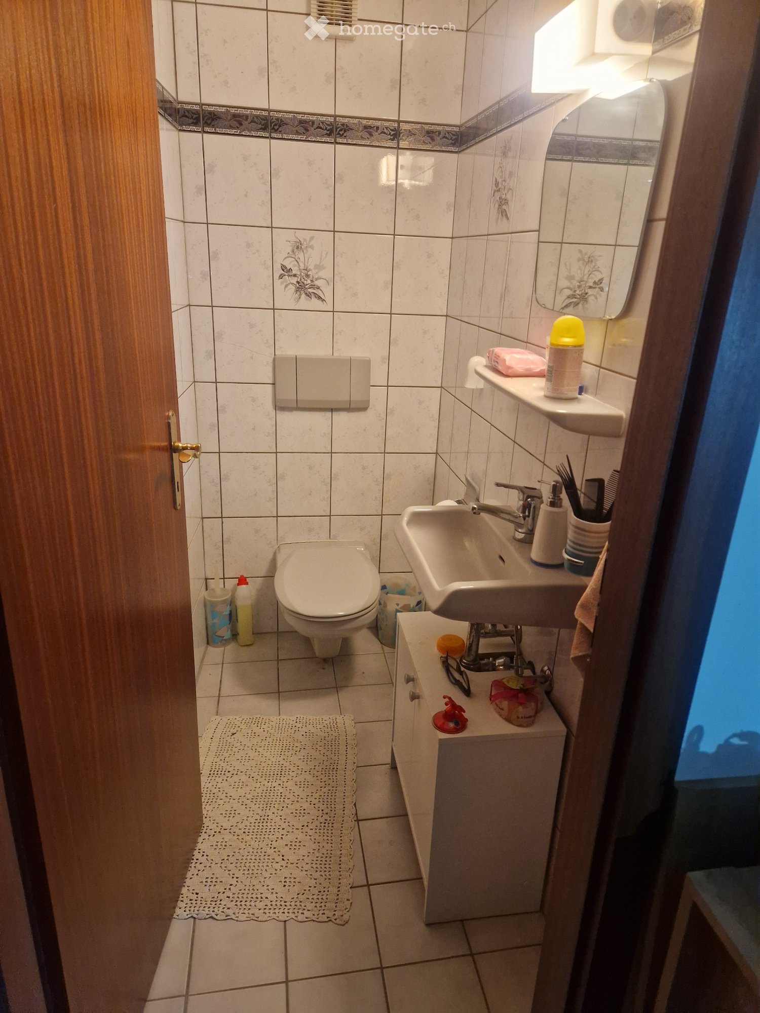 3 ½ Zimmer Wohnung