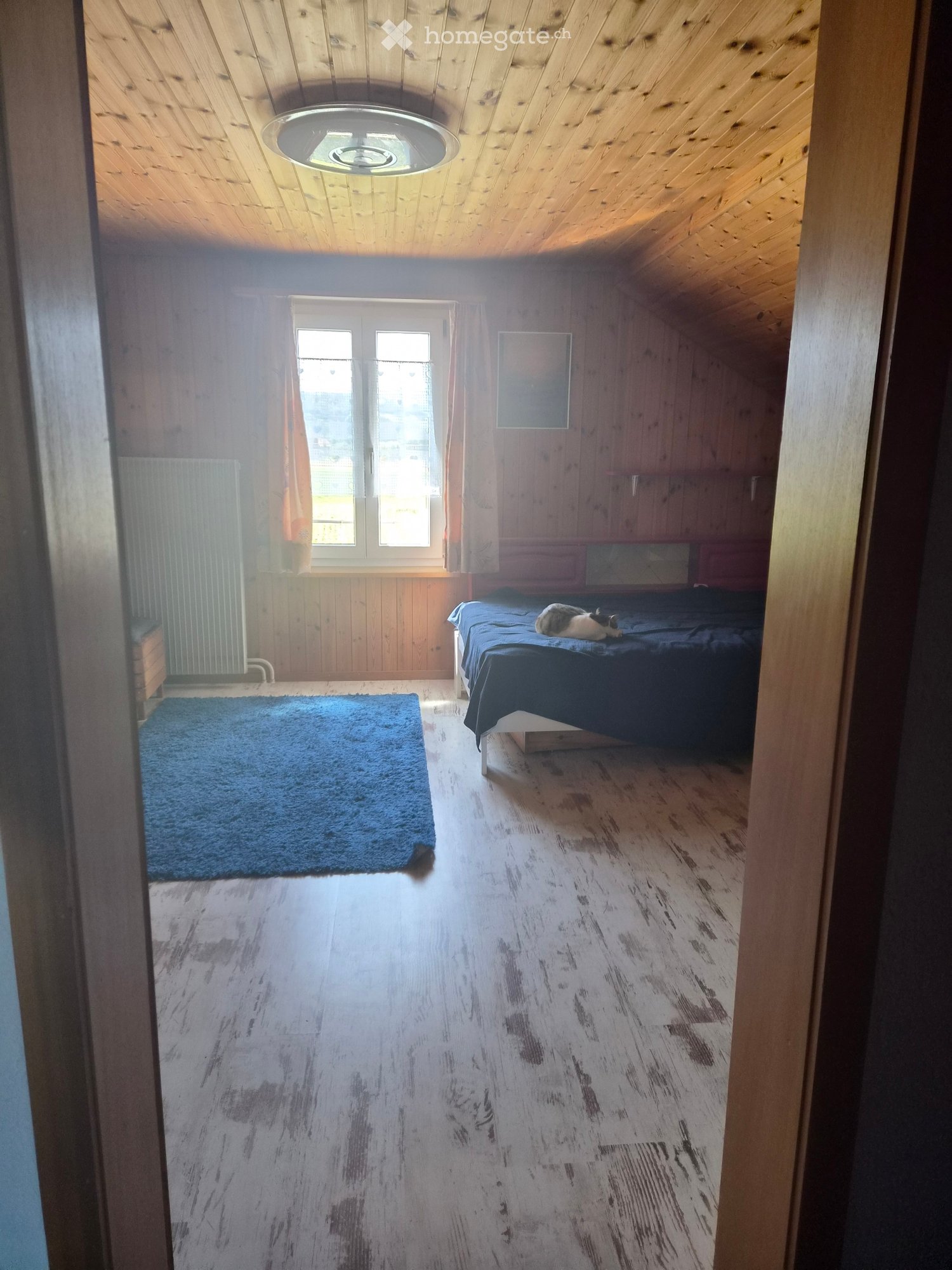 1 room single room