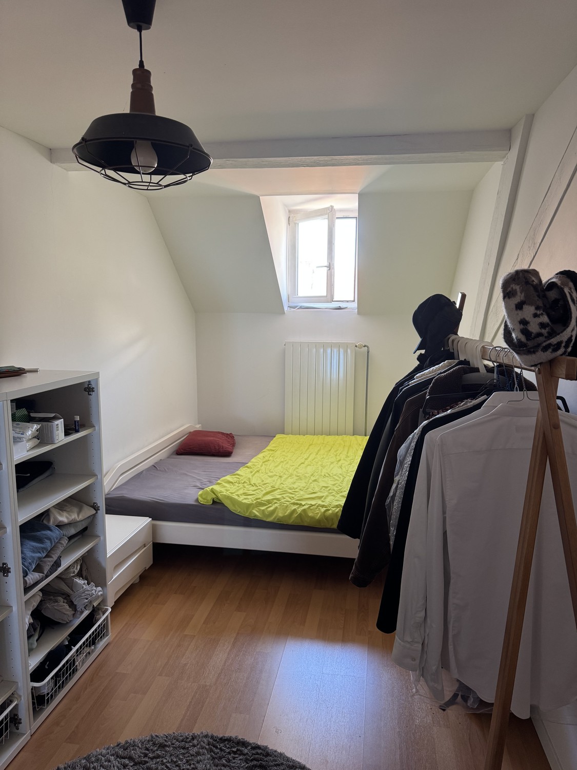 Room in a shared flat