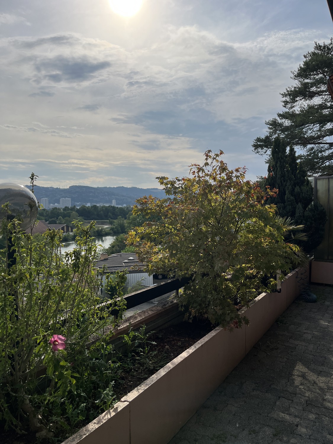 Appartement de 2 ½ pièces