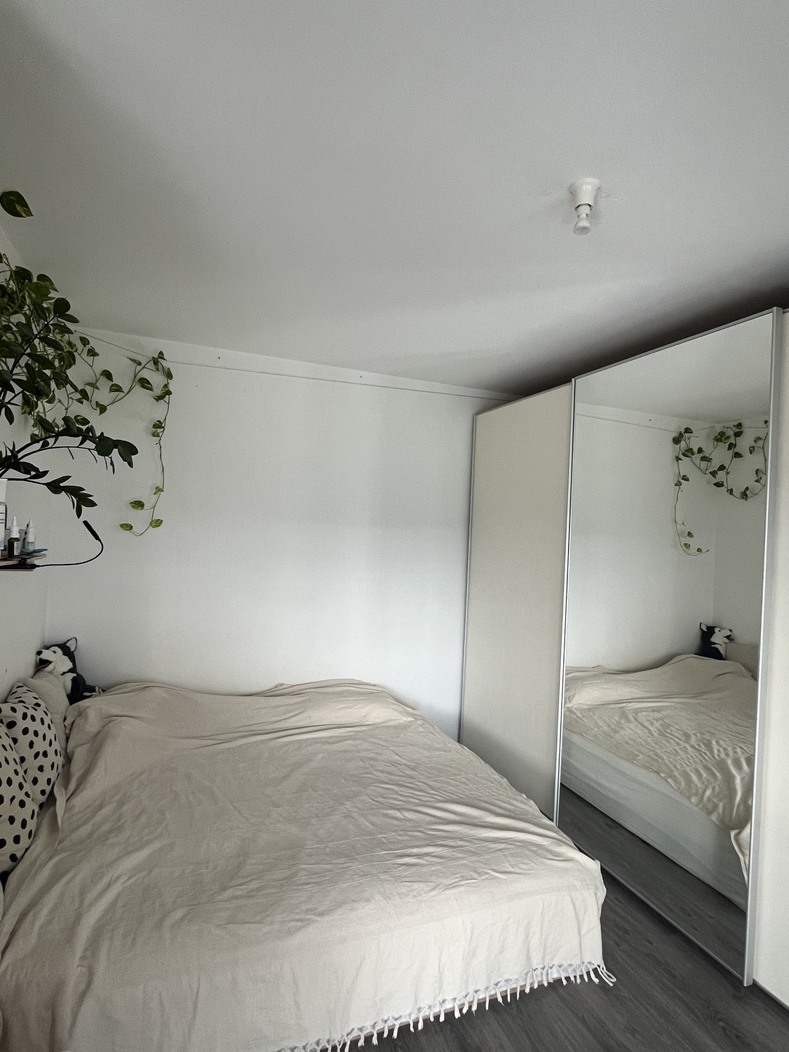 Appartement de 2 ½ pièces