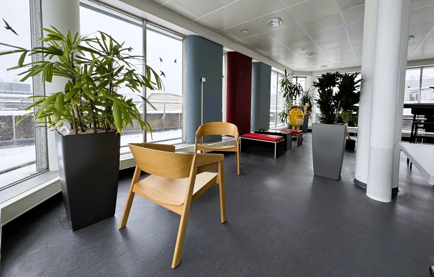385m² commercial