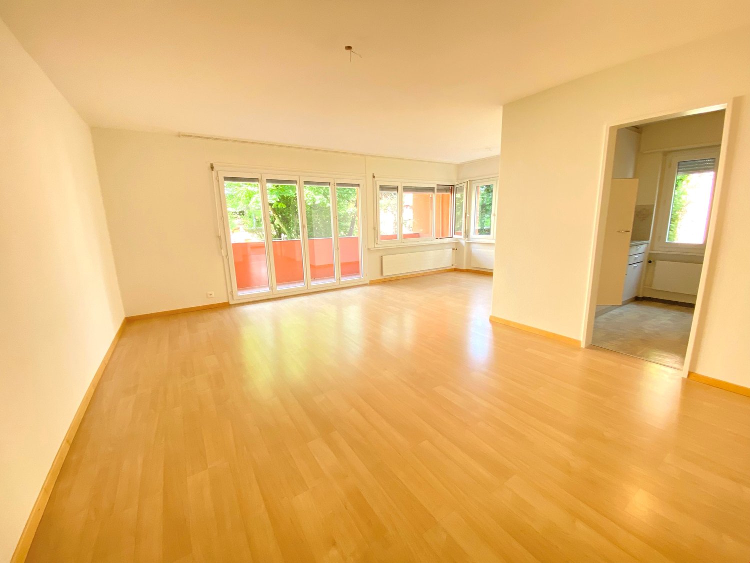 4 ½ rooms apartment
