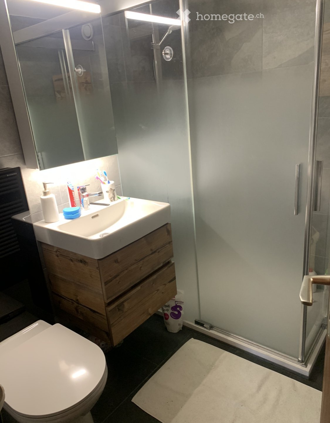 2 ½ rooms apartment