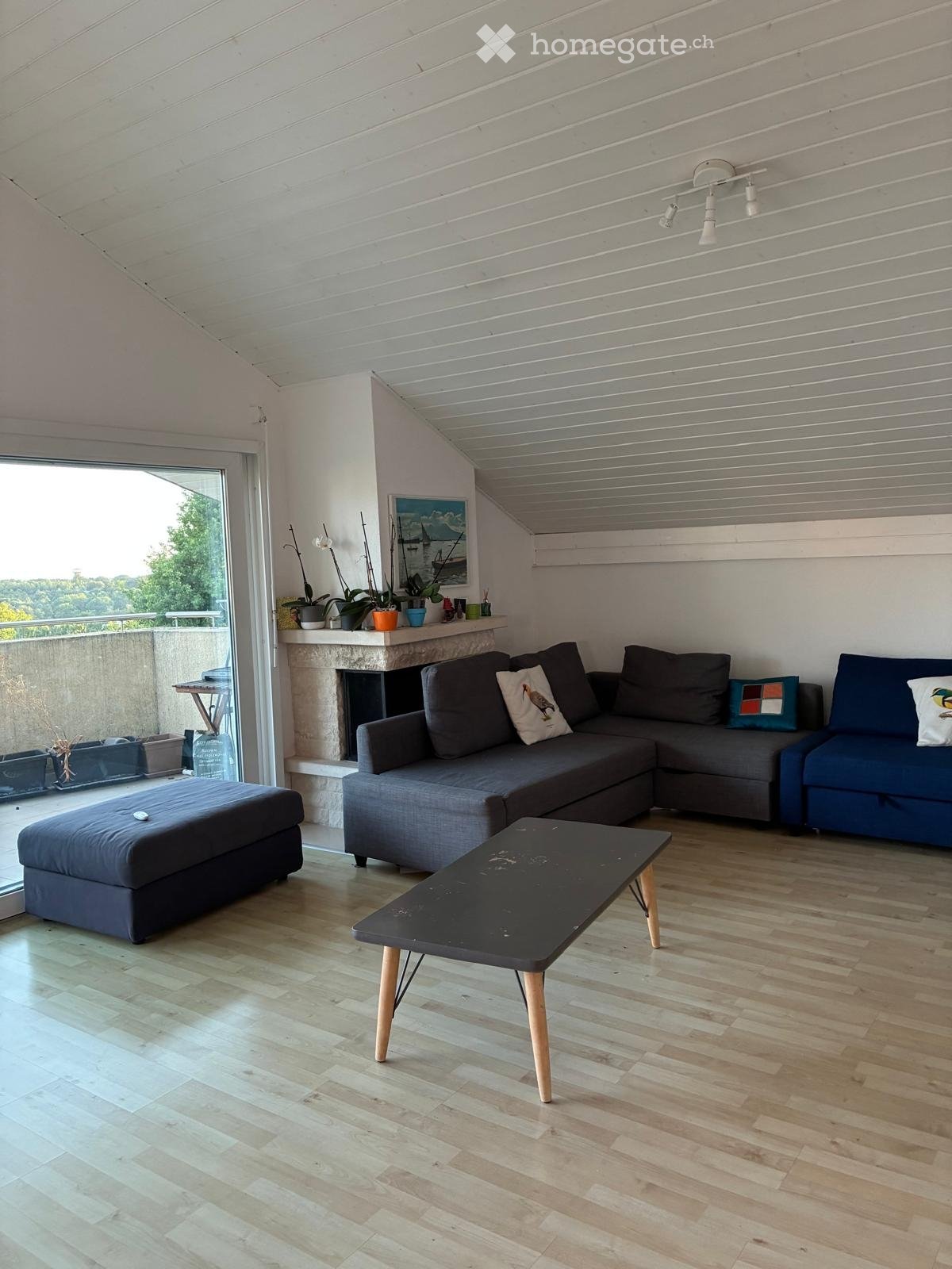 4 ½ rooms apartment