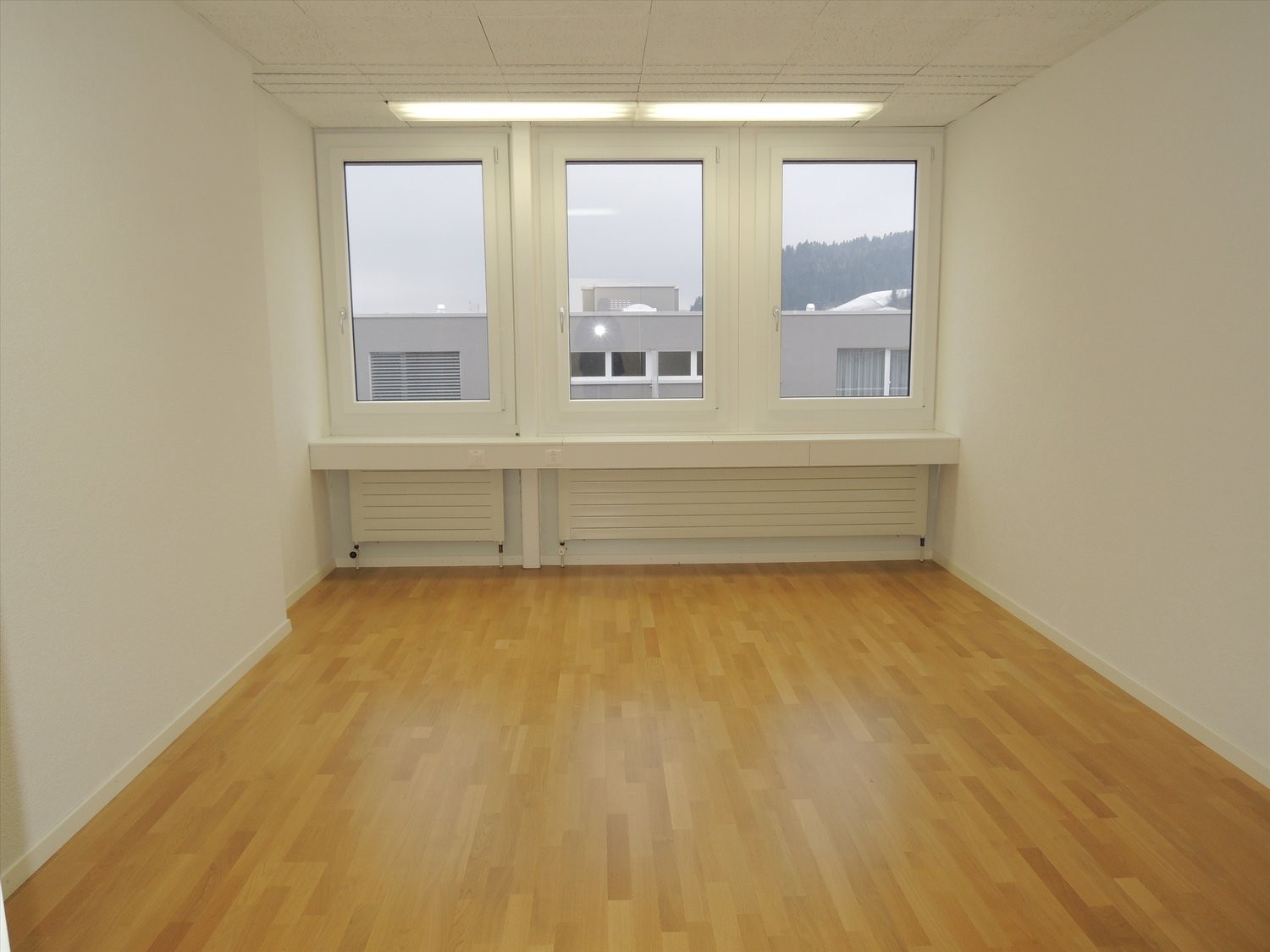 12m² office