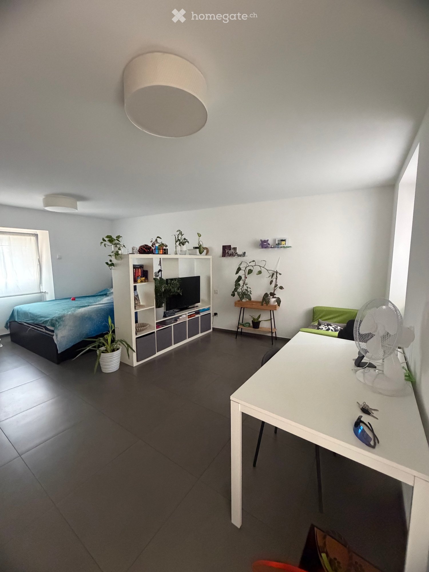 1-Zimmer-Einfamilienhaus
