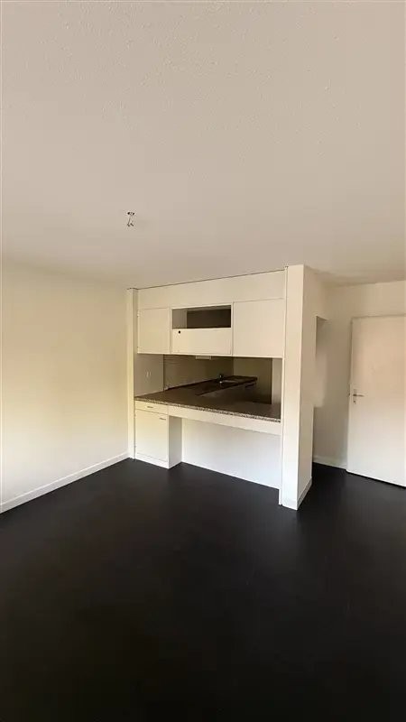 3 ½ rooms duplex