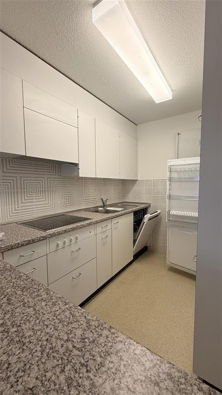 3 ½ rooms duplex
