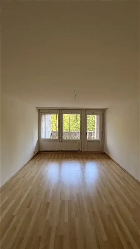 3 ½ rooms duplex