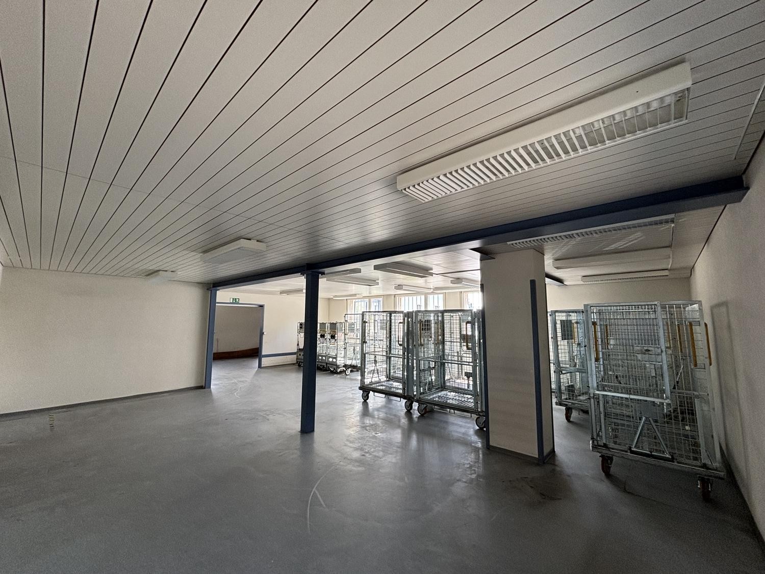 298m² commerciale