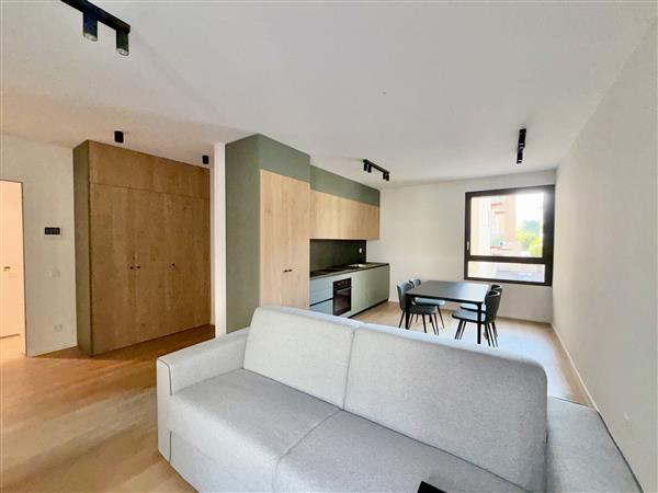 Möblierte 1 ½-Zimmer-Wohnung