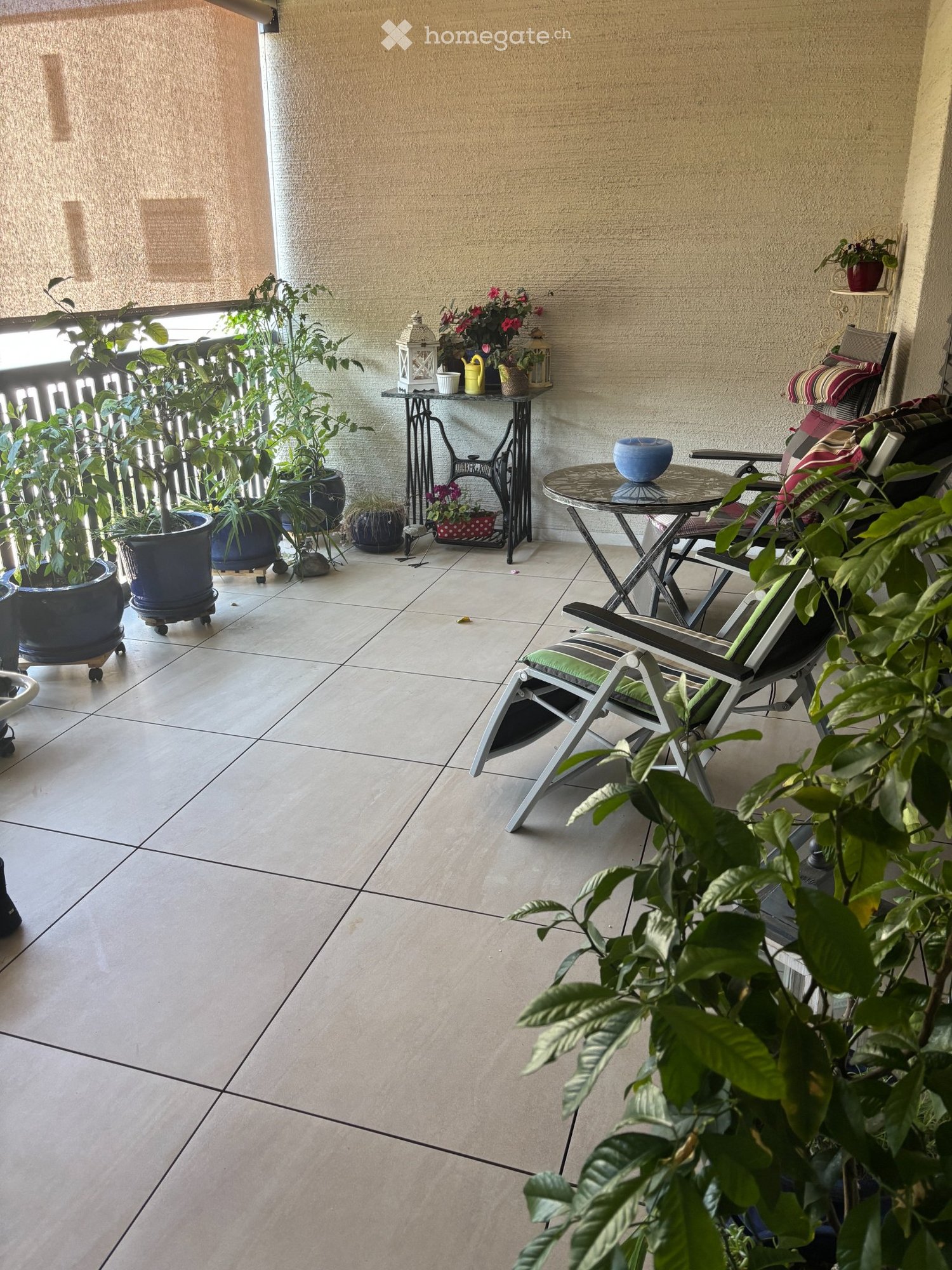 appartamento di 2 ½ locali