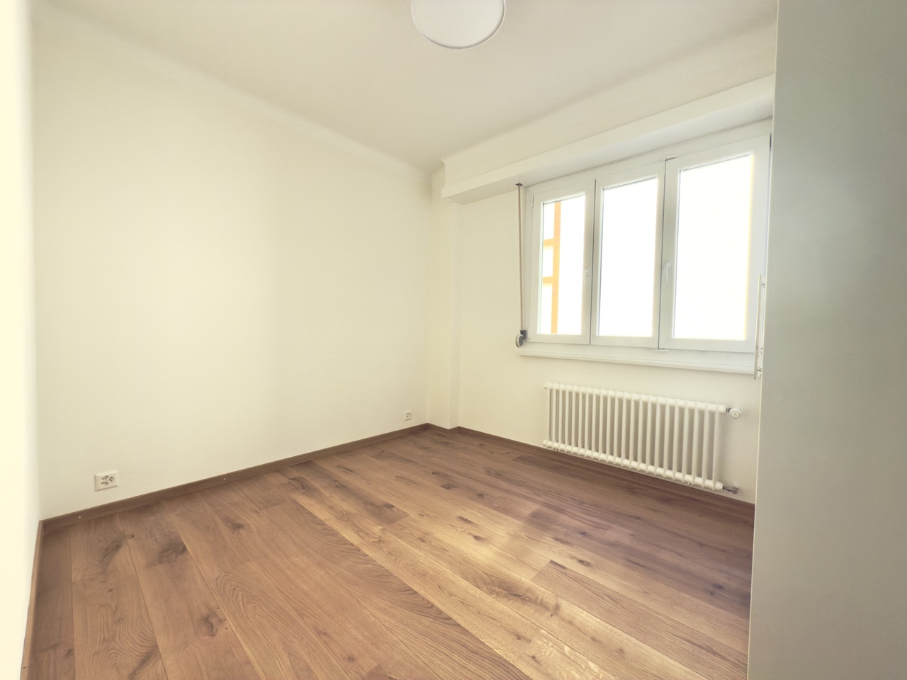 4 ½ Zimmer-Wohnung
