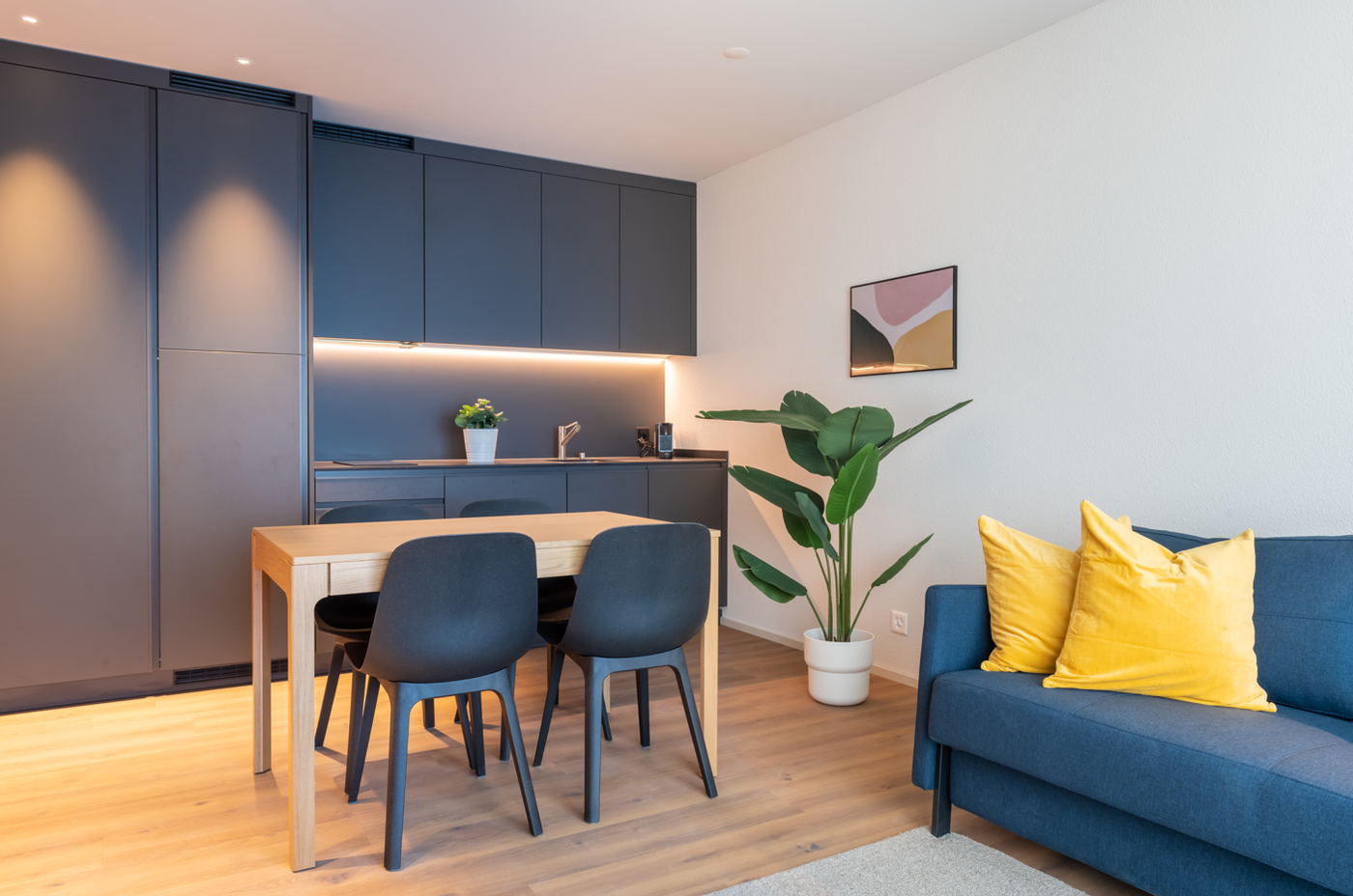 2 ½ rooms apartment
