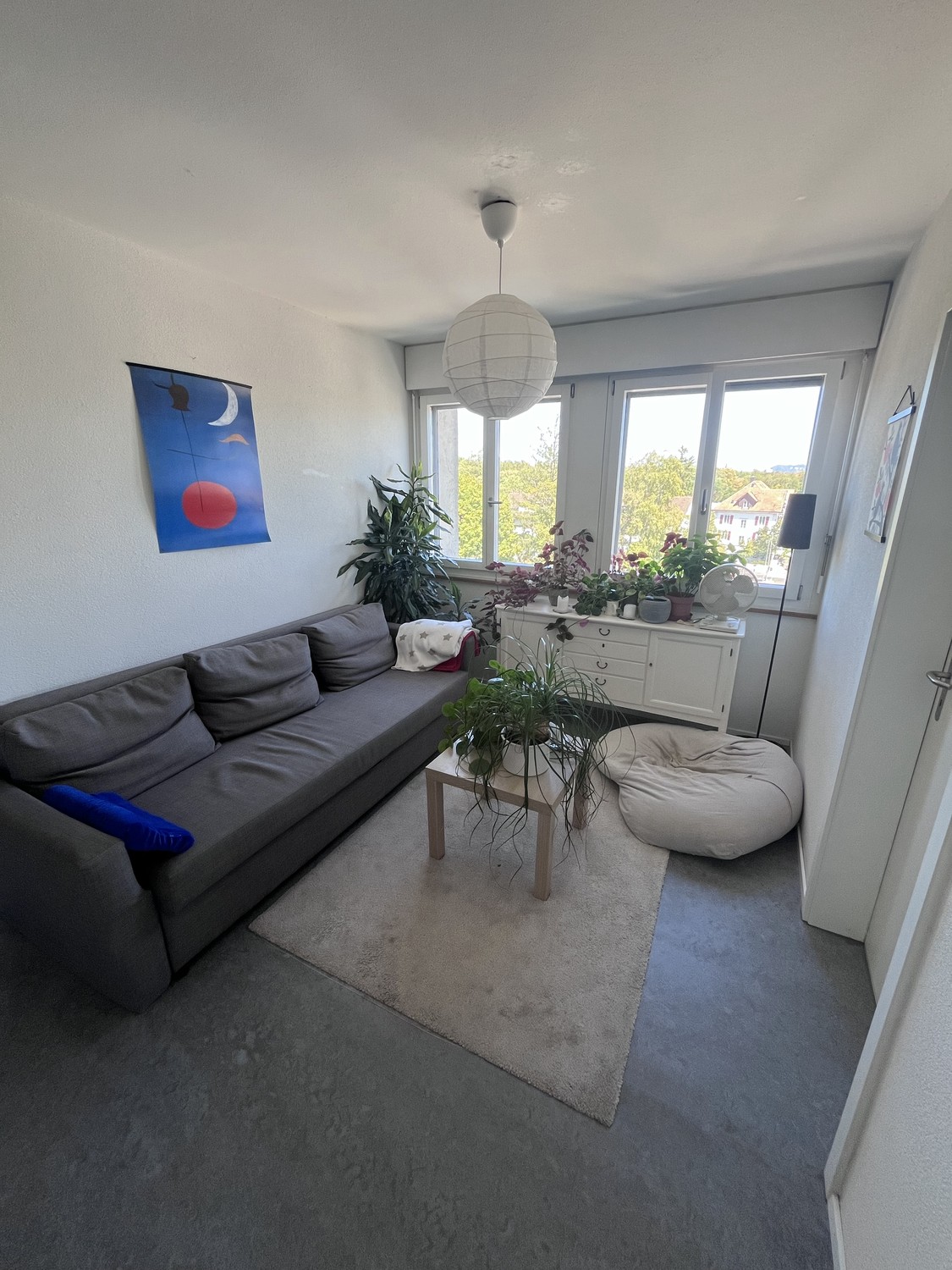 Room in a shared flat