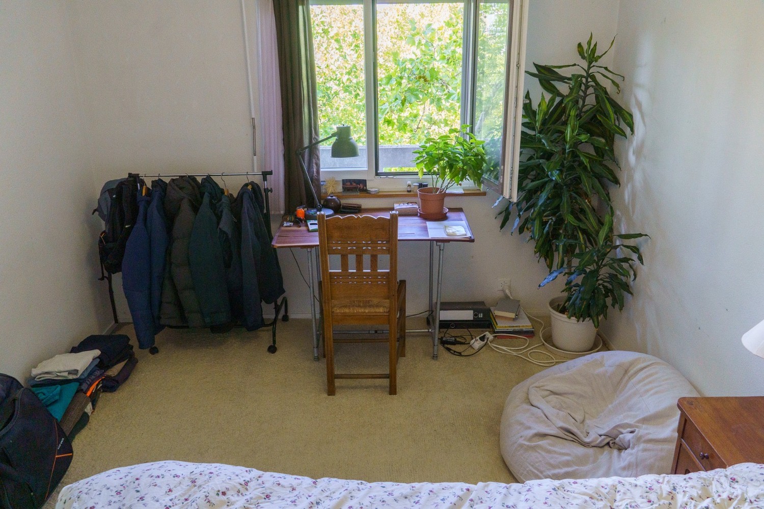 Room in a shared flat