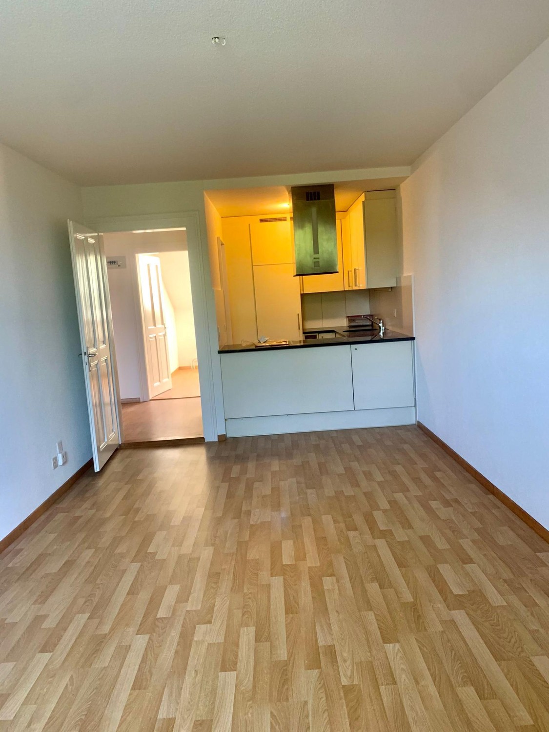 Appartement de 3 ½ pièces