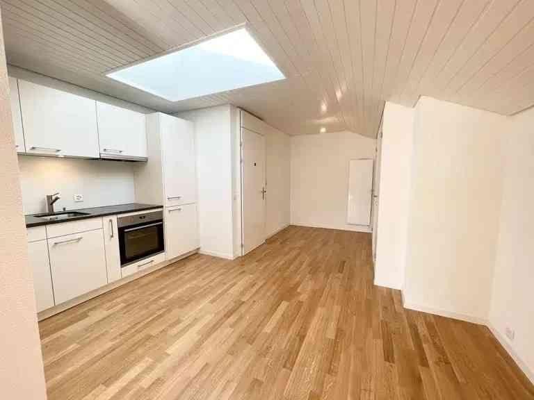 Appartement de 1 ½ pièces