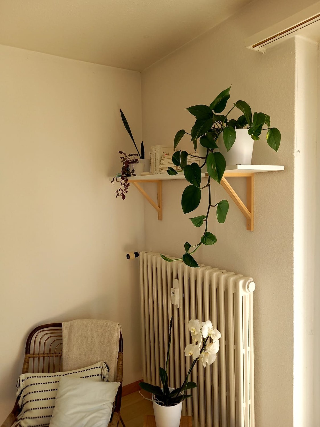 Chambre en colocation