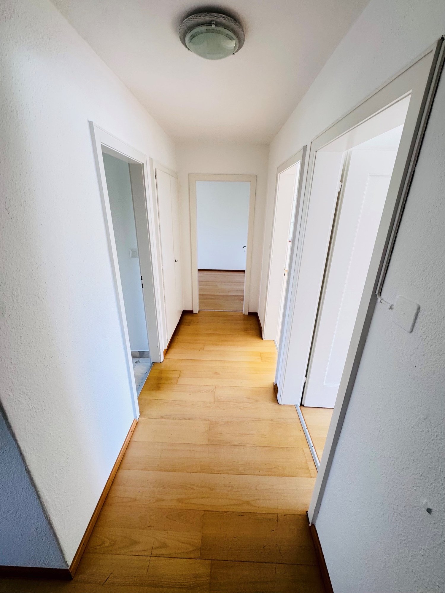 3 rooms apartment
