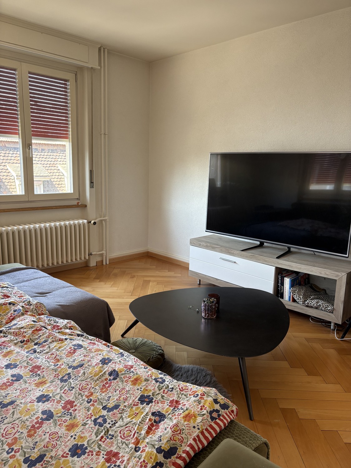 3 ½ Zimmer Wohnung