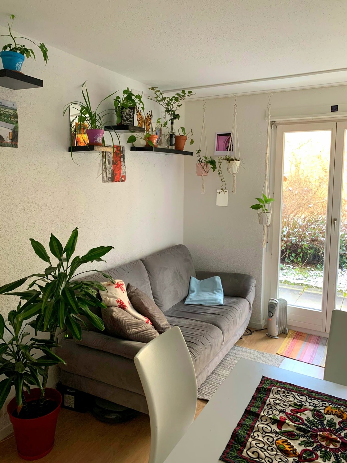 Room in a shared flat