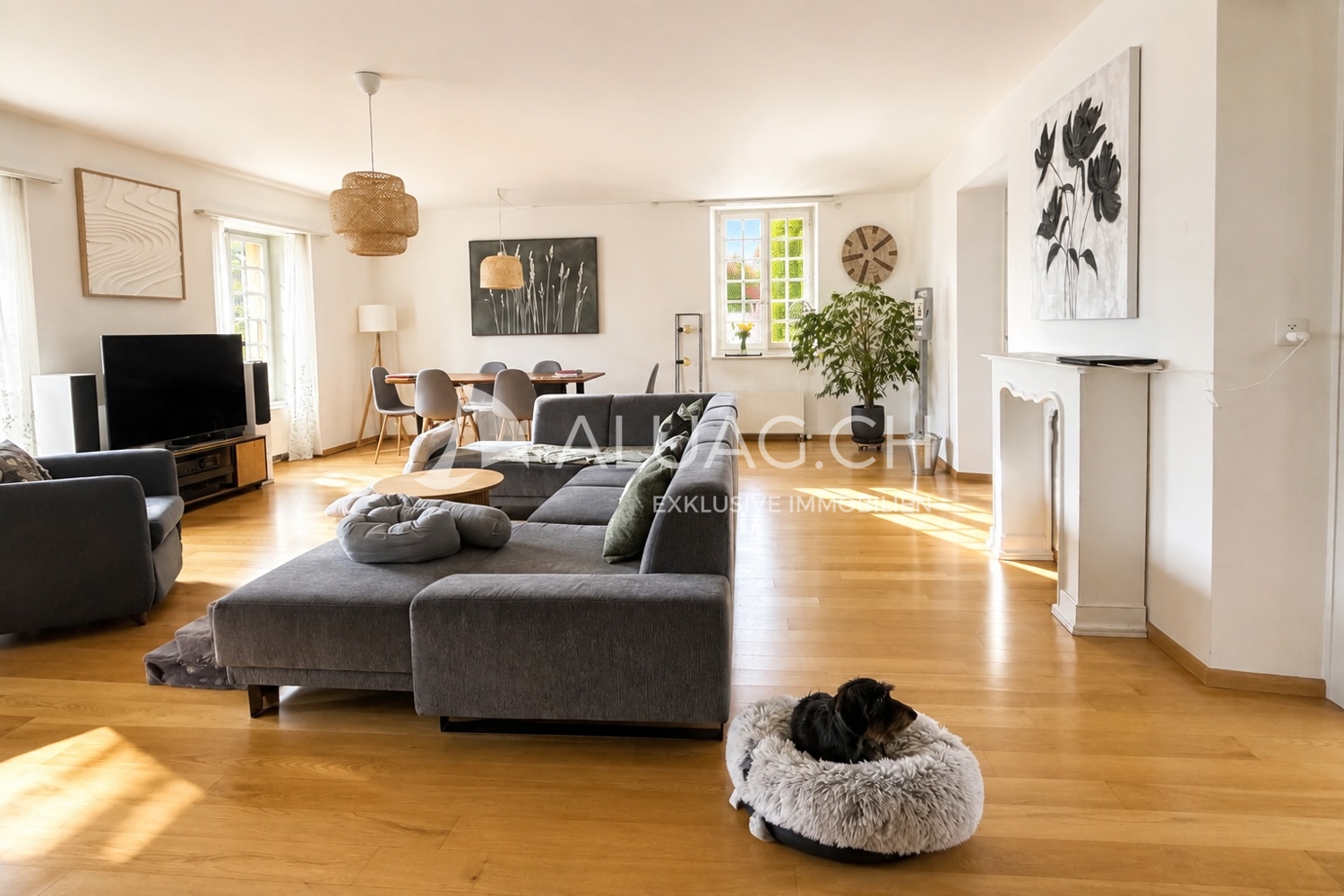Appartement de 4 ½ pièces