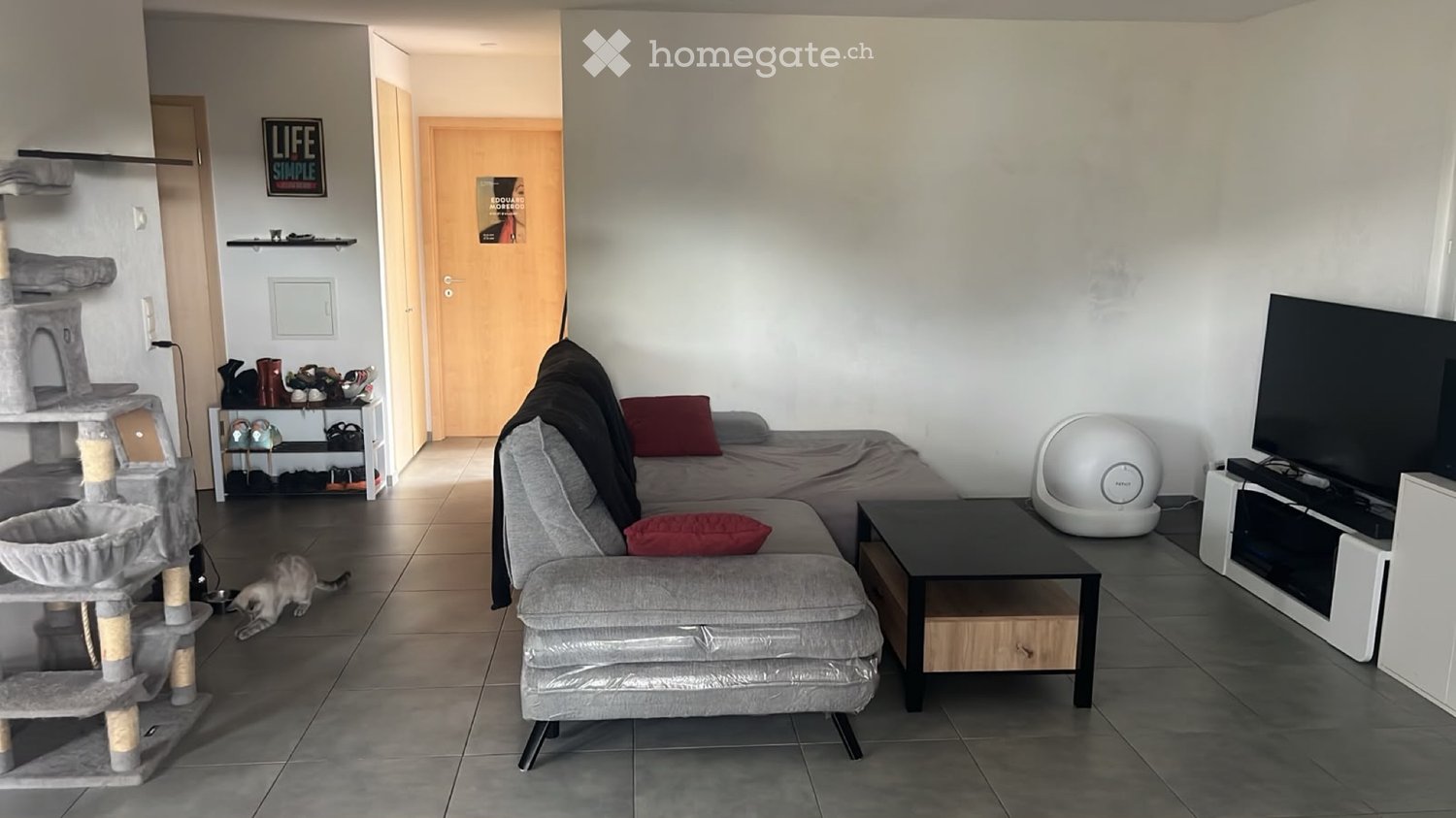1 Zimmer Einzelzimmer