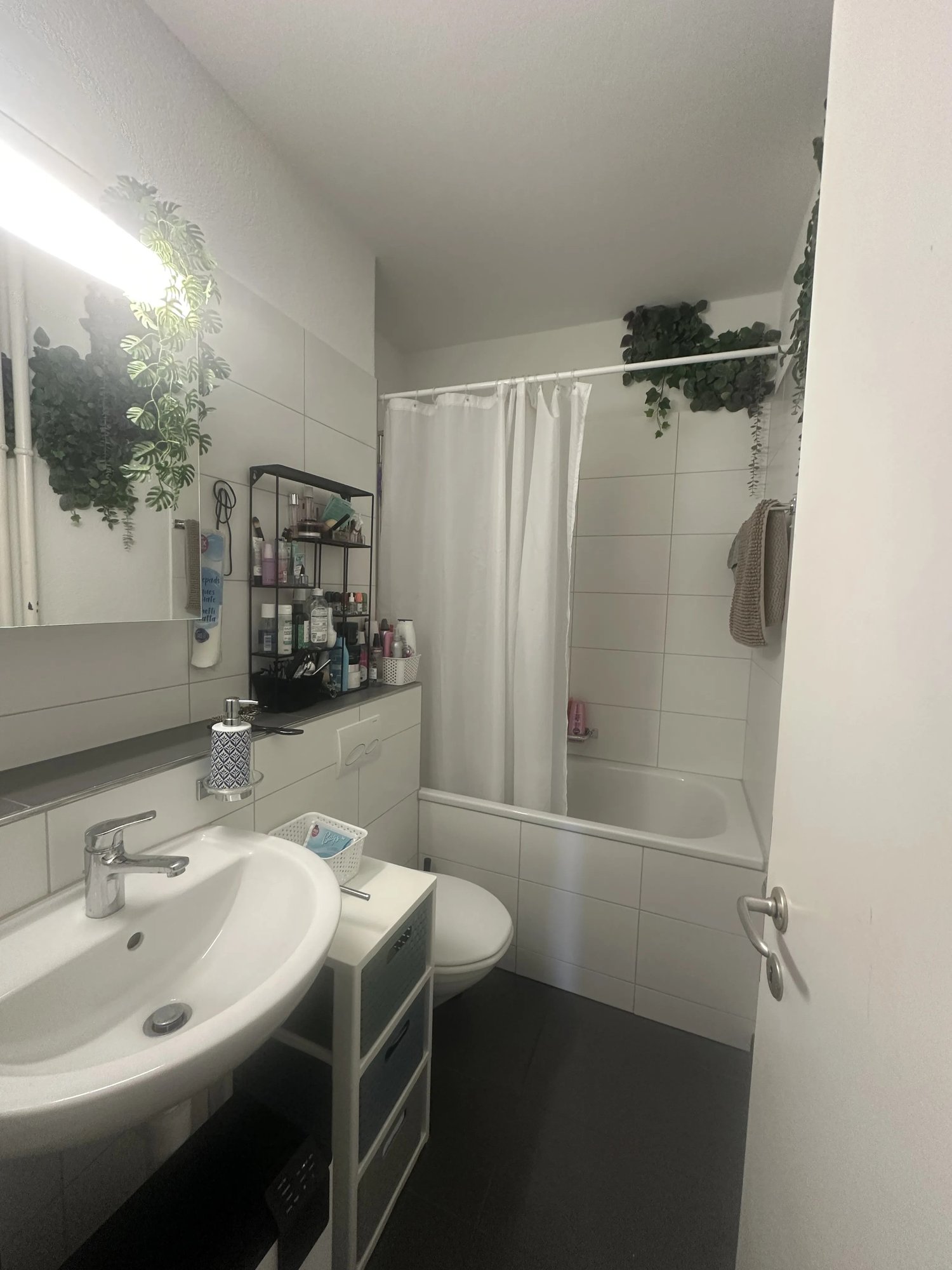 Room in a shared flat