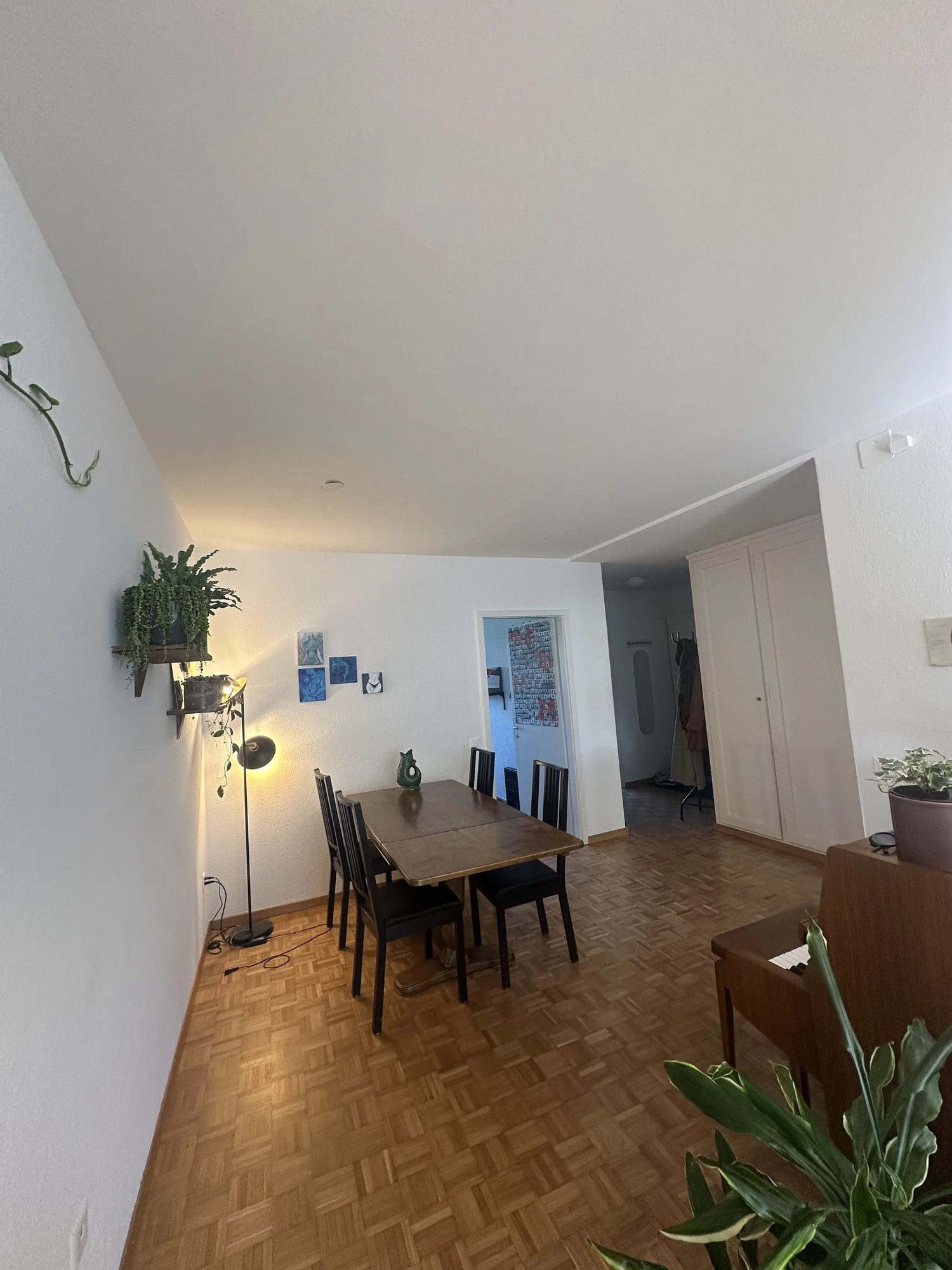 Room in a shared flat