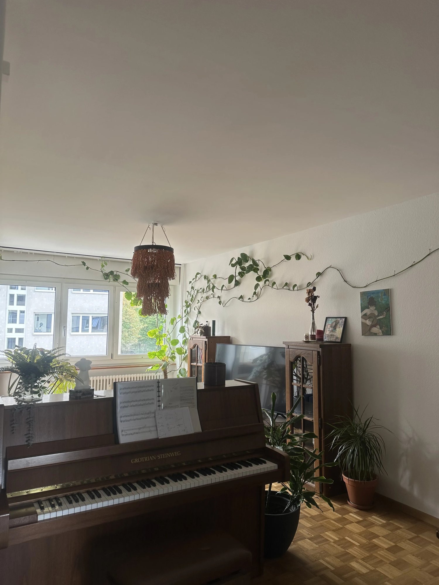 Room in a shared flat
