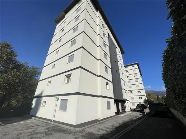 2 ½ Zimmer-Wohnung