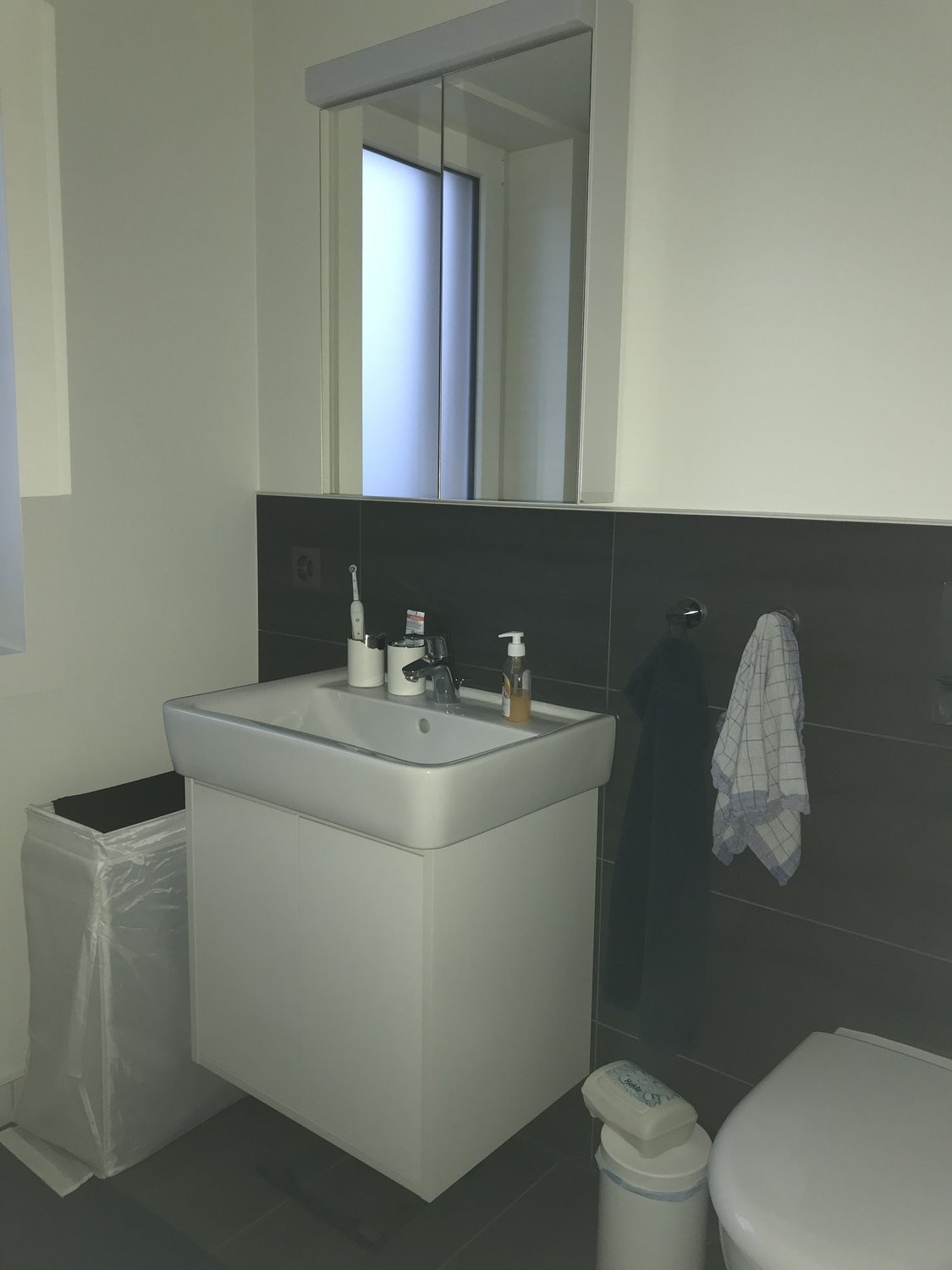 3 ½ rooms furnished flat