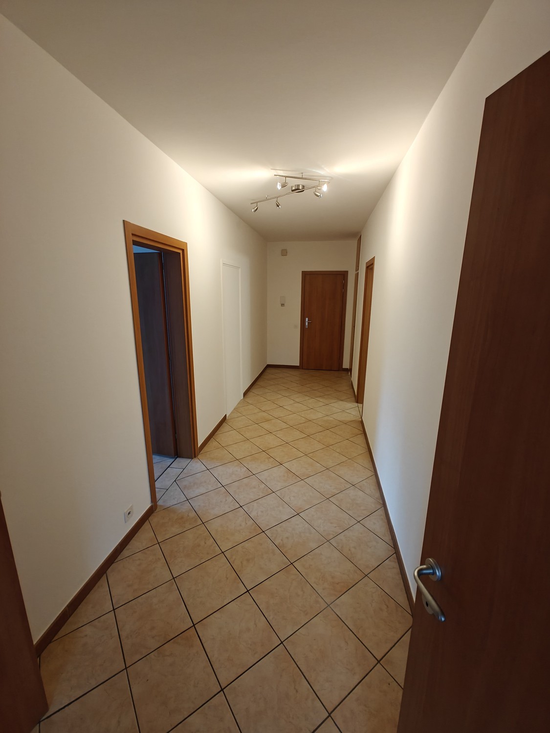 2 ½ Zimmer-Wohnung