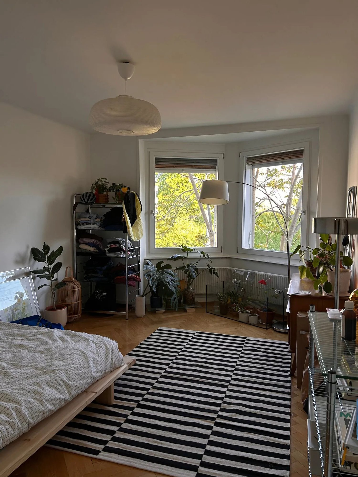 Room in a shared flat