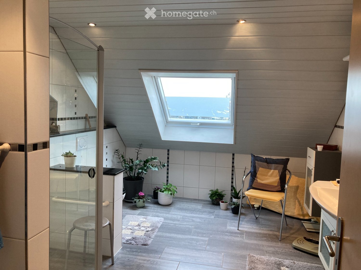 Appartamento di 9 ½ locali