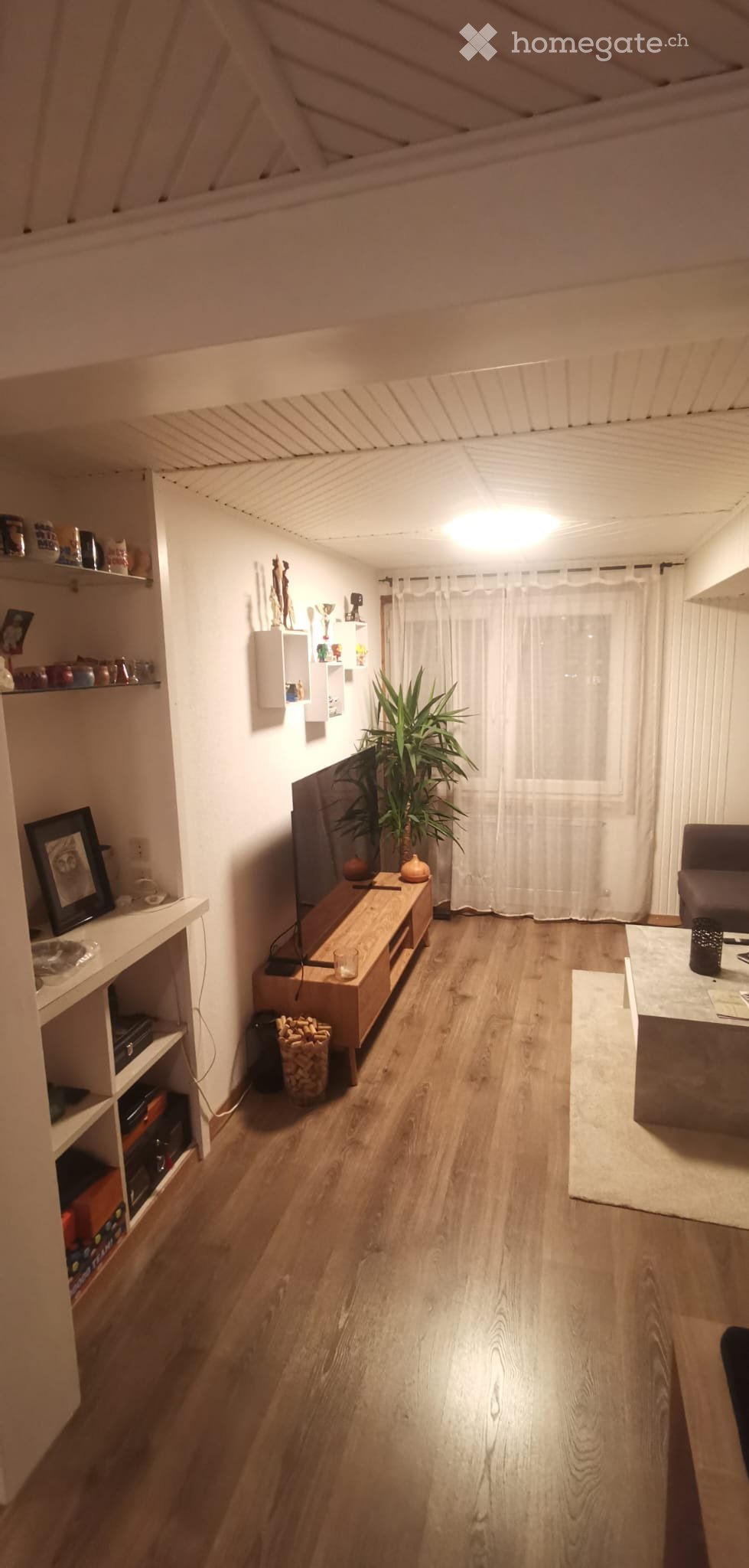 3 Zimmer Wohnung