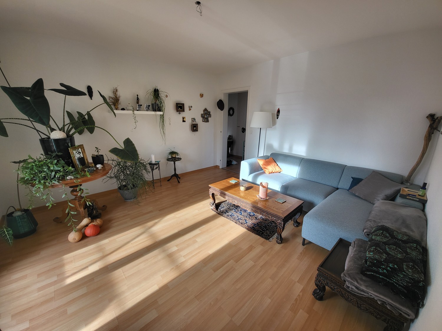 2 ½ Zimmer-Wohnung