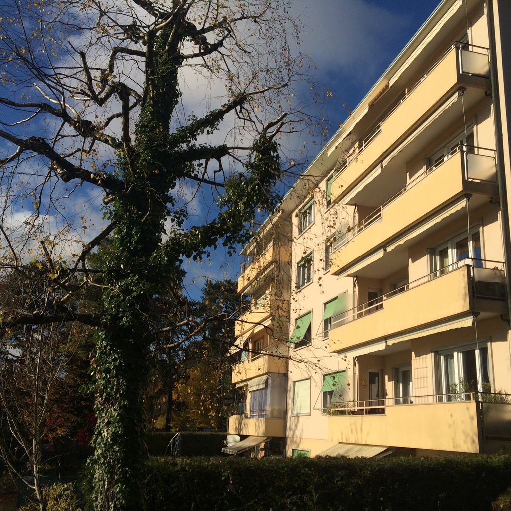 6 ½ rooms apartment