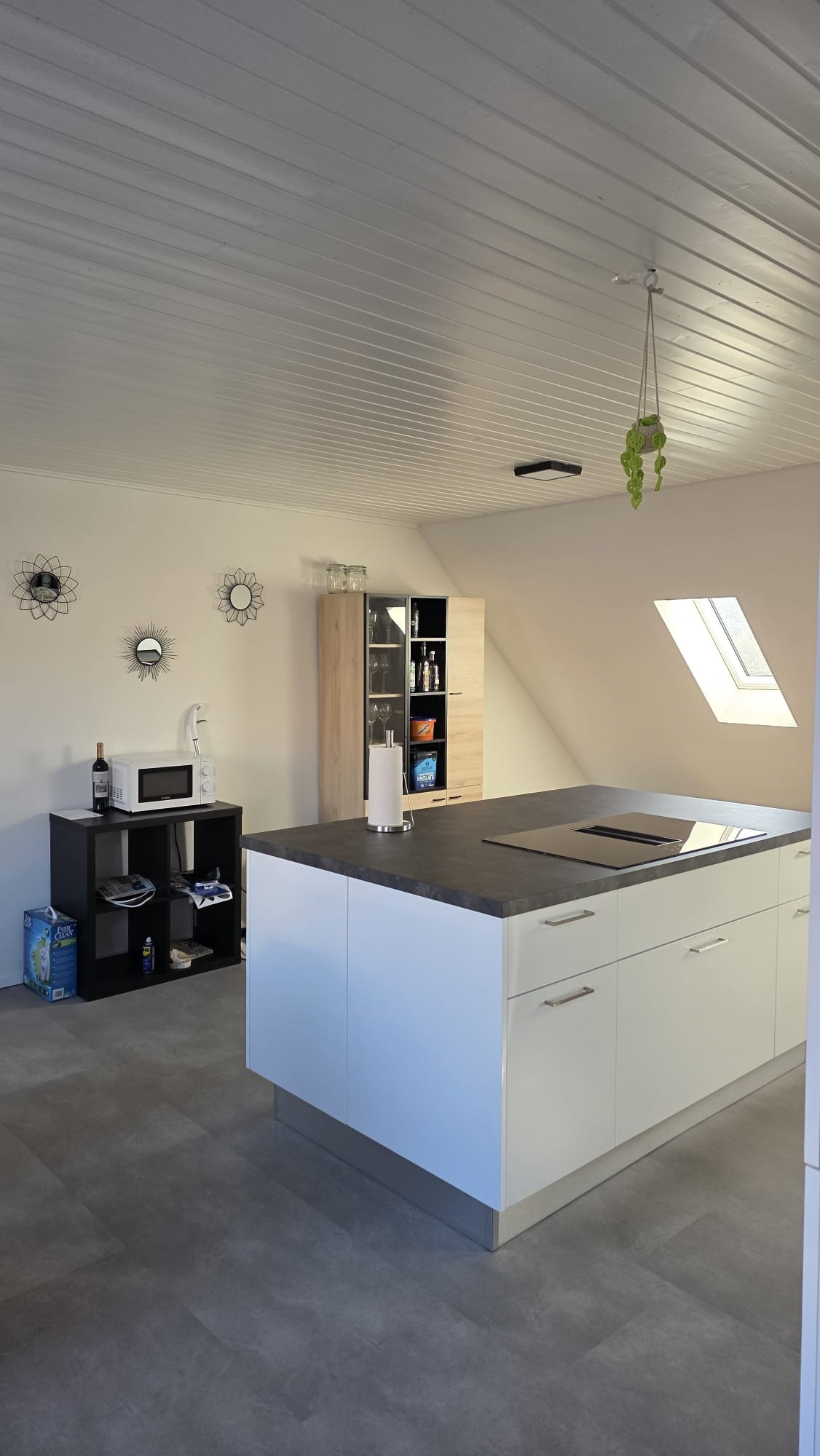 2 ½ Zimmer-Wohnung