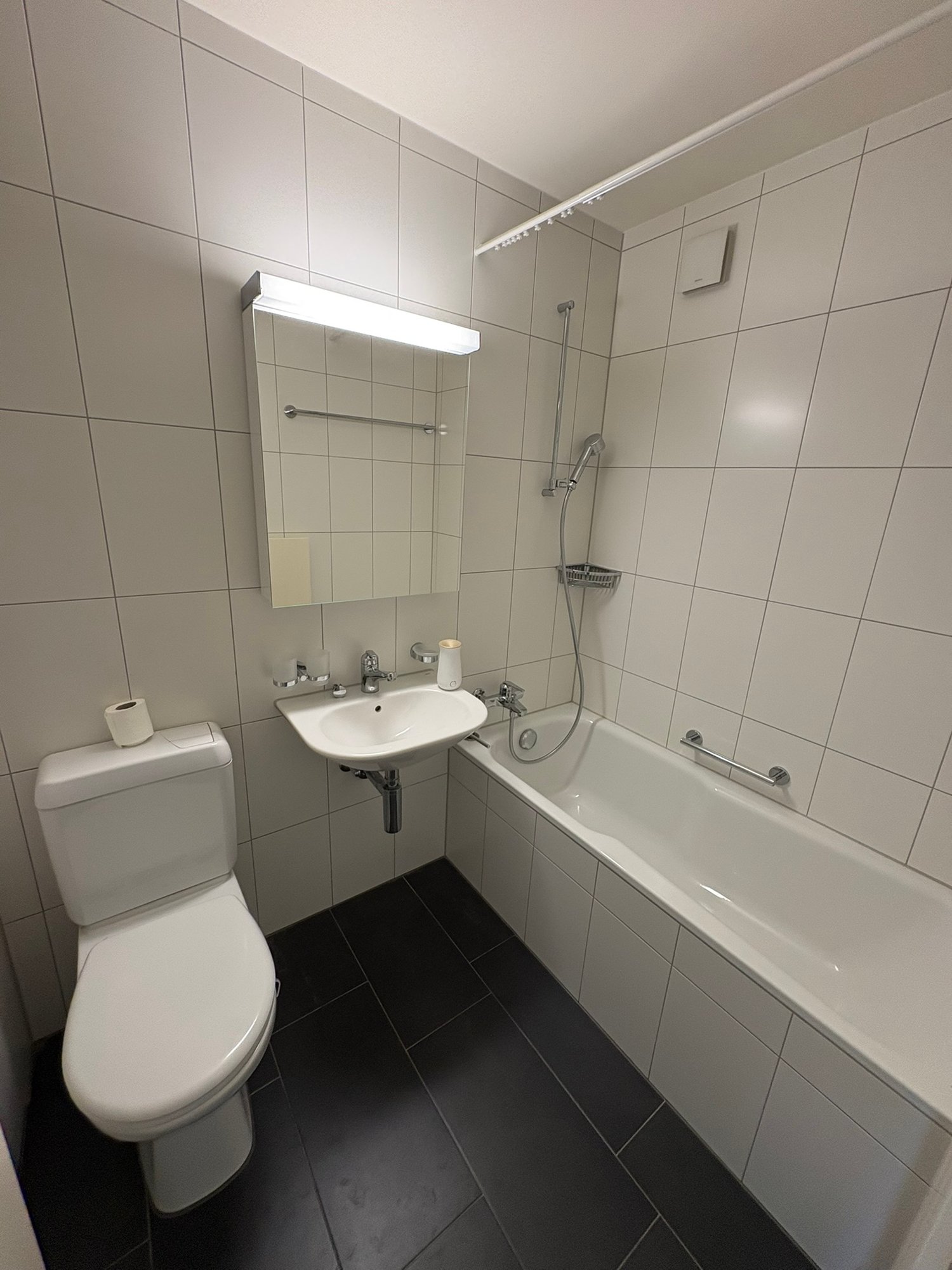 Appartamento di 3 ½ locali