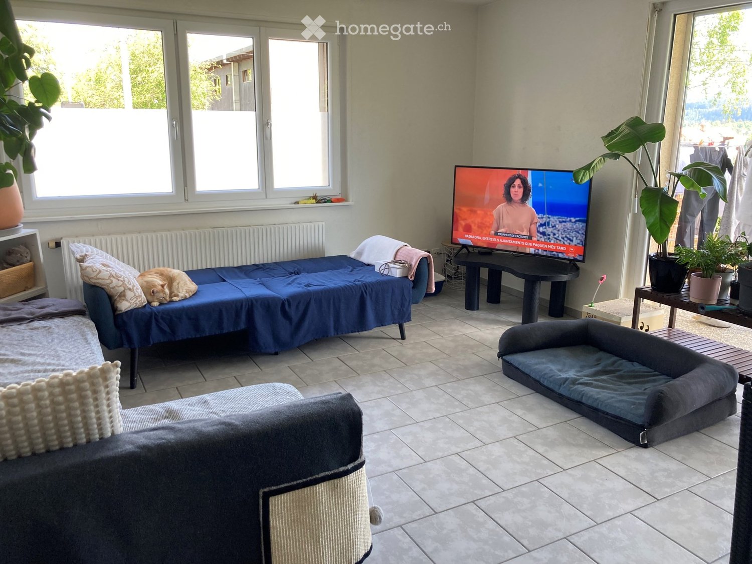 2 ½ Zimmer Wohnung