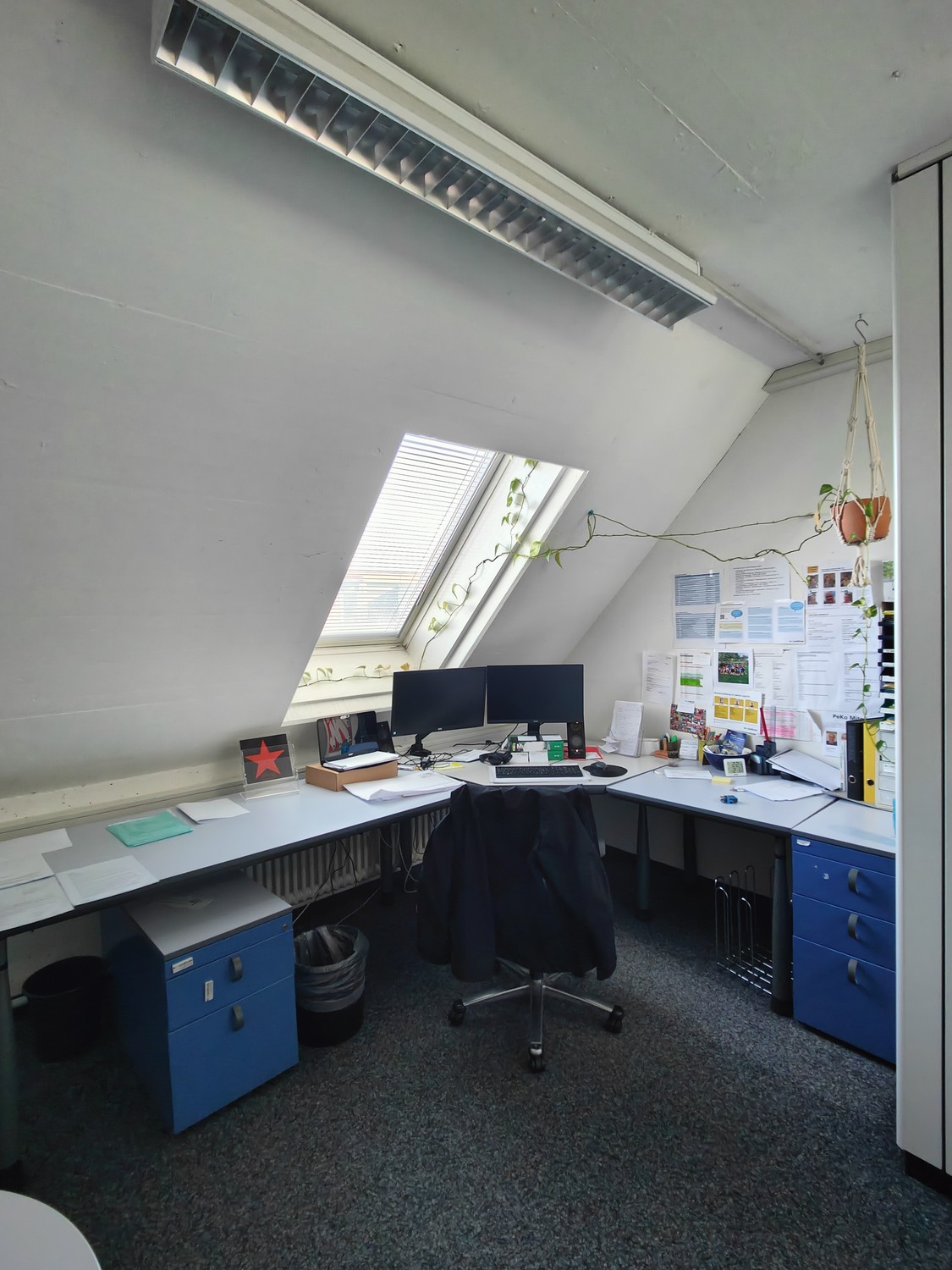 365m² bureau